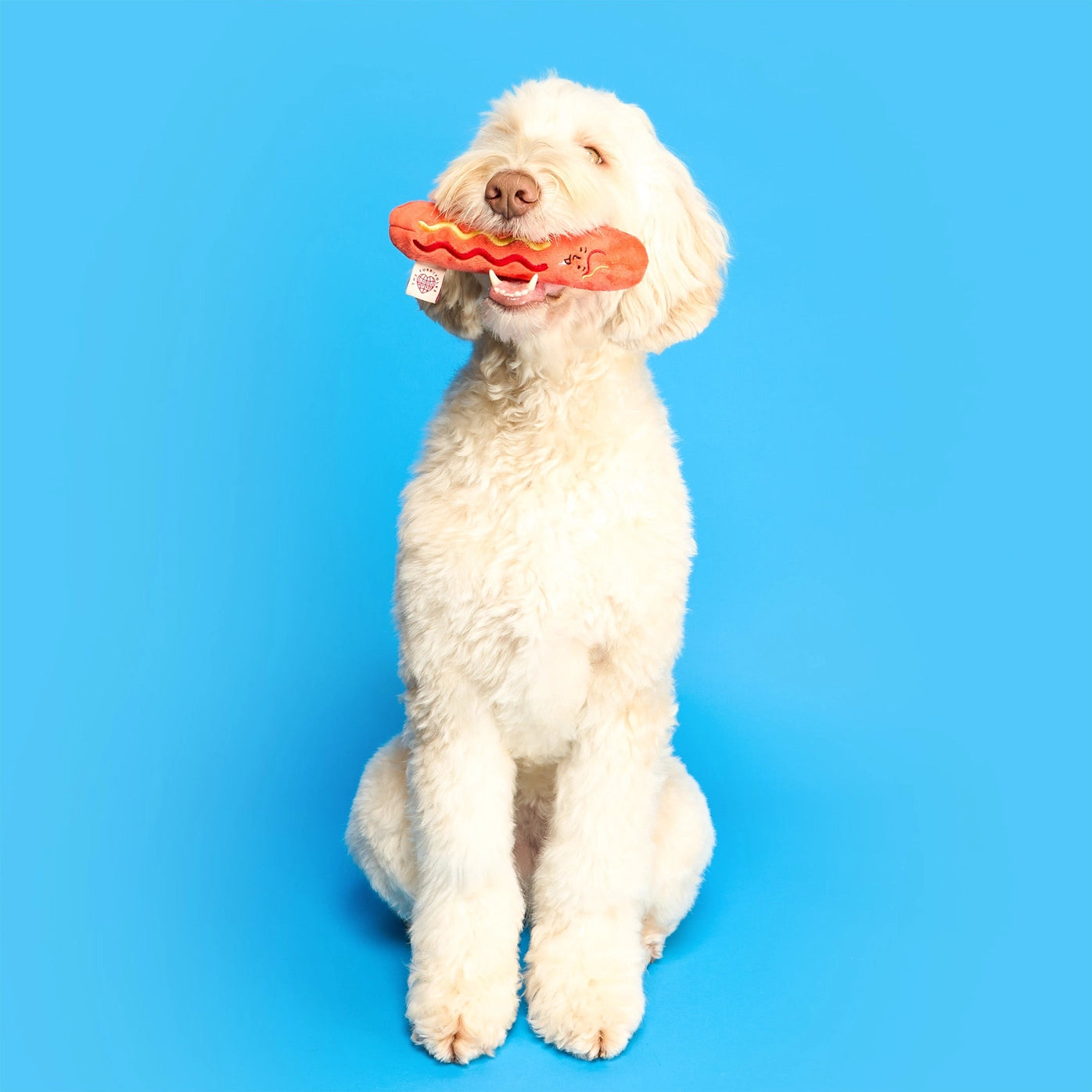 Hot Dog Nosework Toy - The Furryfolks