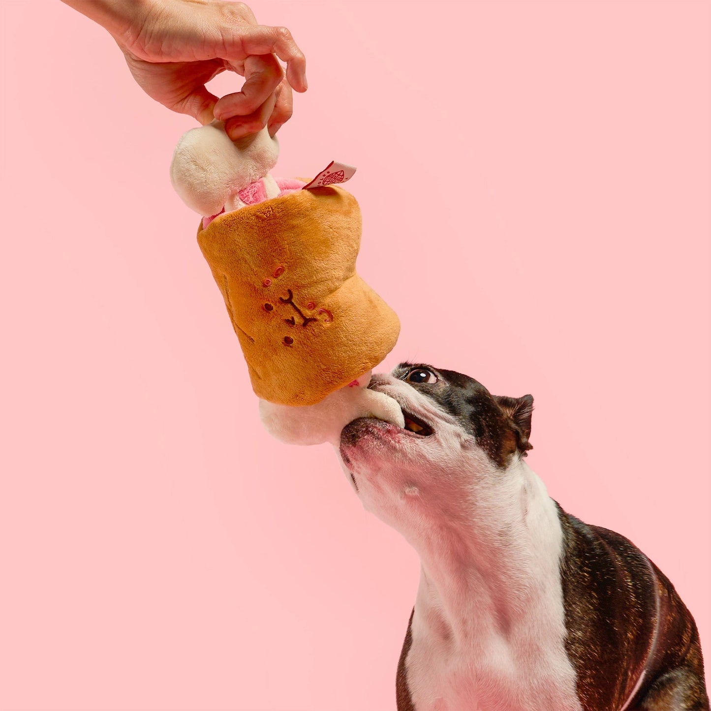 BBQ Nosework Toy - The Furryfolks