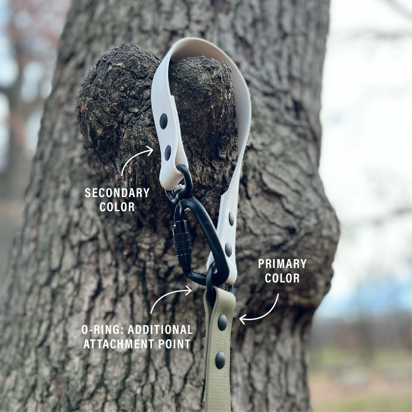 Arctic Blue x Frost | Infinity Leash