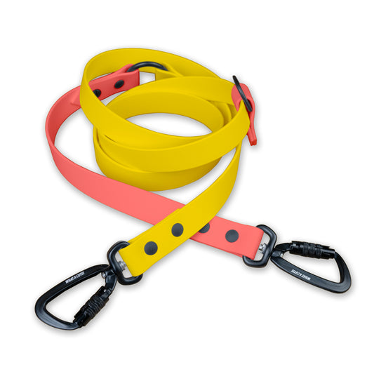 Yellow x Coral | Infinity Leash