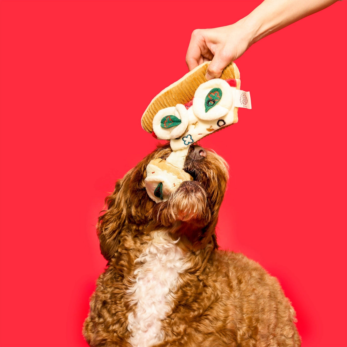 Pizza Nosework Toy - The Furryfolks
