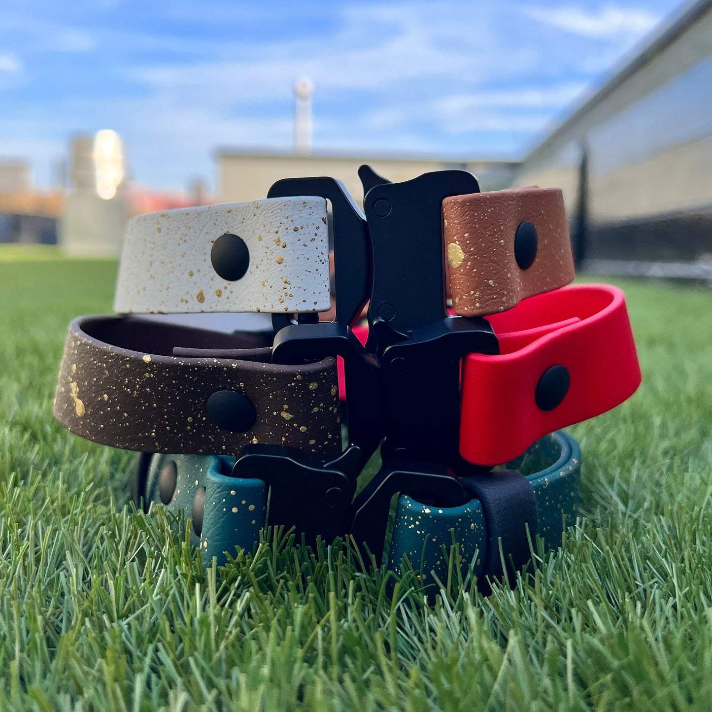 Speckled Quick Release Collar