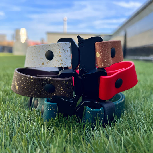 Speckled Quick Release Collar