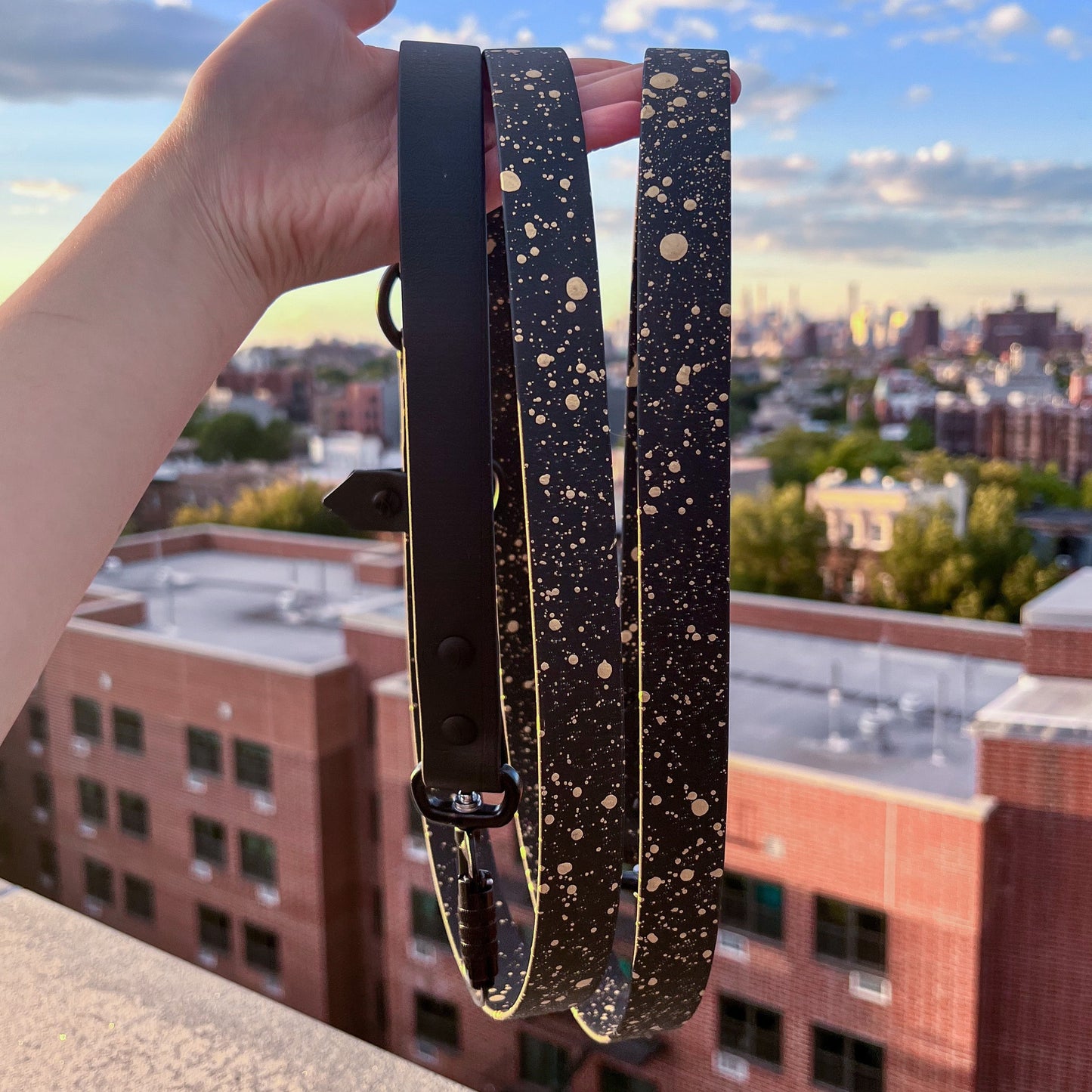 Speckled Infinity Leash