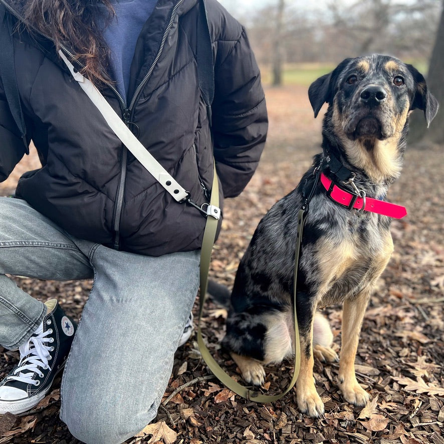 Cedar x Sand | Infinity Leash