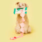 Doggo Wipe Nosework Toy - The Furryfolks