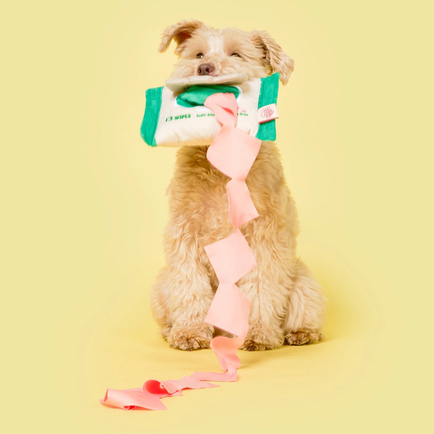 Doggo Wipe Nosework Toy - The Furryfolks