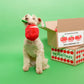Apple Nosework Toy - The Furryfolks