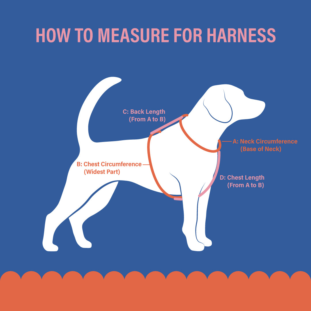 Custom Dog Harness