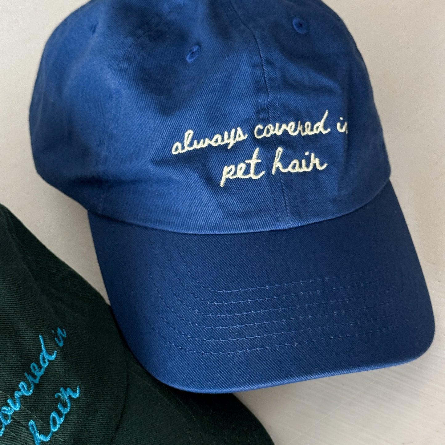 Always Covered in Pet Hair Hat