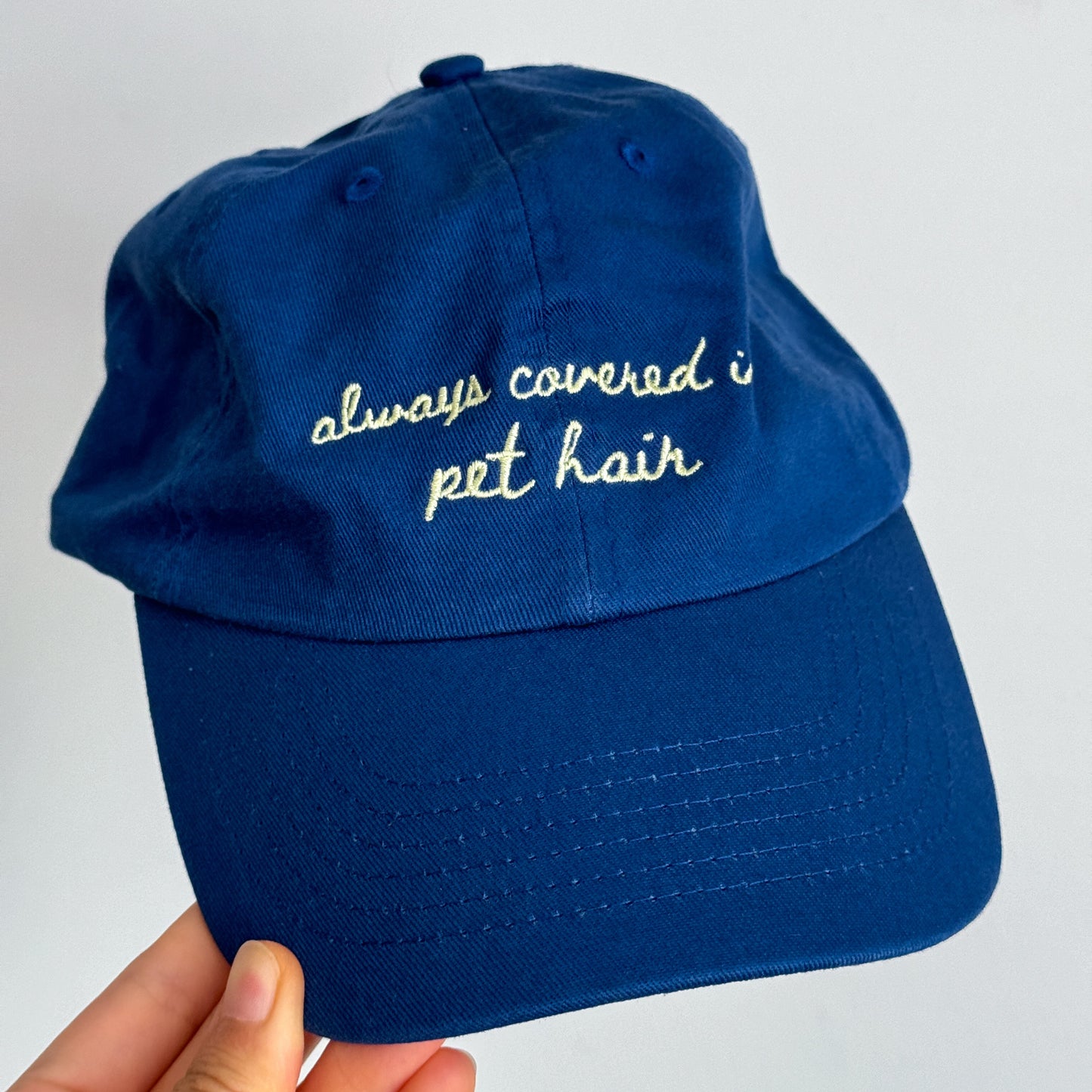 Always Covered in Pet Hair Hat
