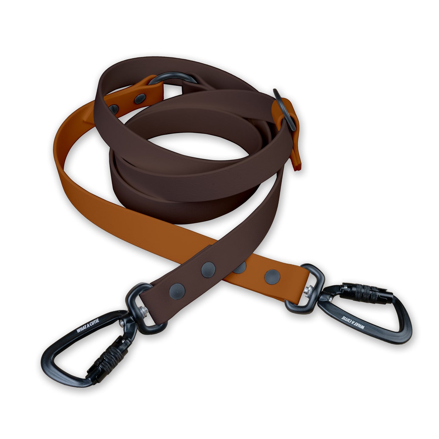 Chocolate x Cedar | Infinity Leash