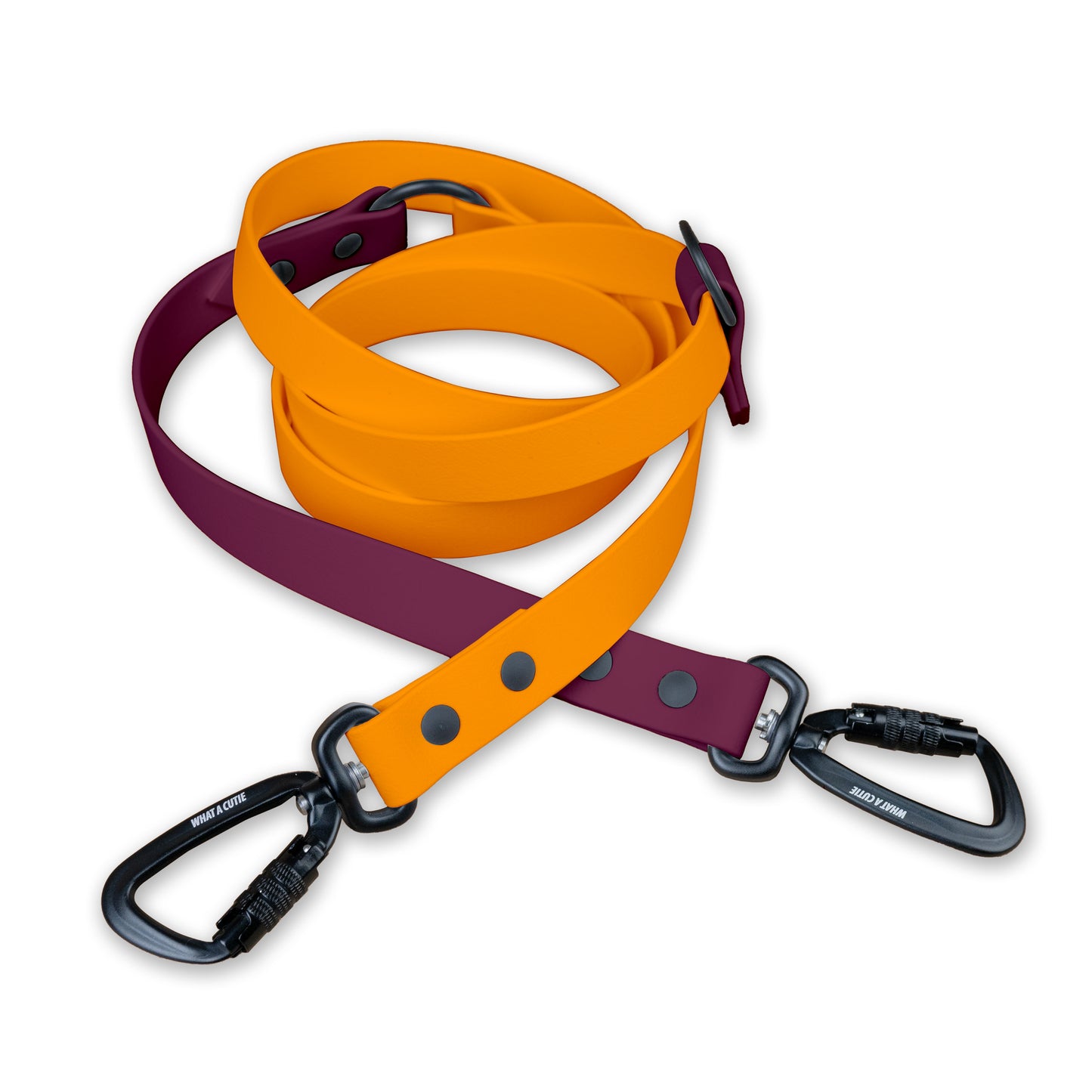 Orange x Burgundy | Infinity Leash