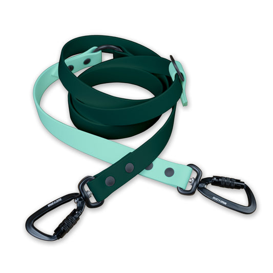 Pine x Mint | Infinity Leash