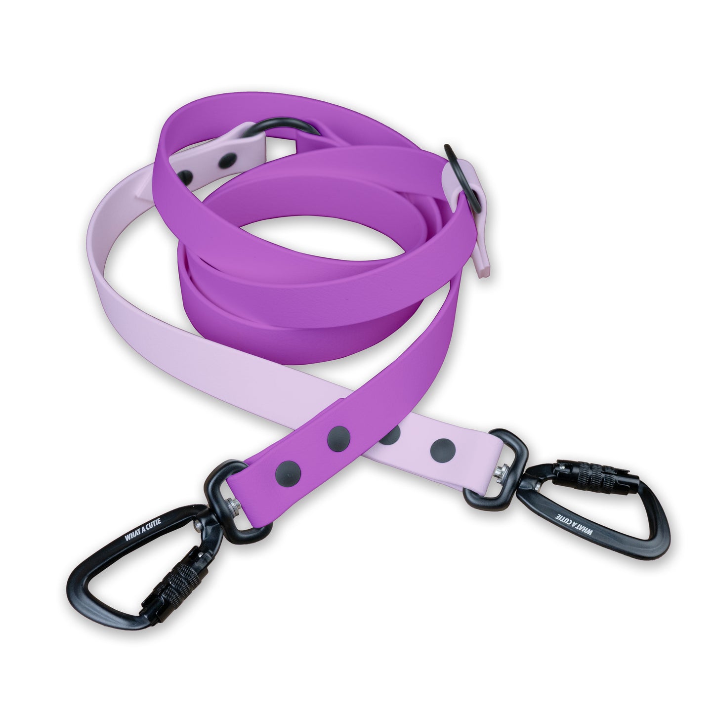 Violet x Lilac | Infinity Leash