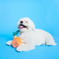 Orange Nosework Toy - The Furryfolks