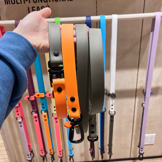 Hands-Free Walk Set